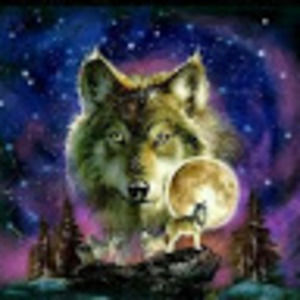 Meet your Posher, Devon